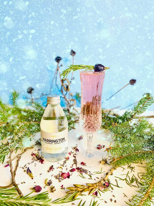 🌿 𝐏𝐫𝐞𝐦𝐢𝐞̀𝐫𝐞 𝐍𝐞𝐢𝐠𝐞 ☃️