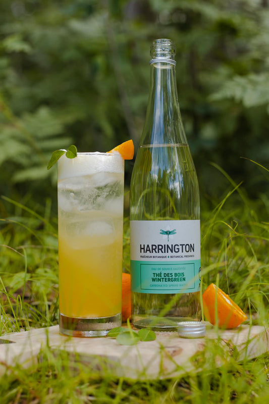 🍊 𝕊𝕠𝕦𝕣 𝔹𝕠𝕚𝕤𝕖́ 𝕖𝕥 … 𝕆𝕣𝕒𝕟𝕘𝕚𝕟𝕒𝕝 🌲