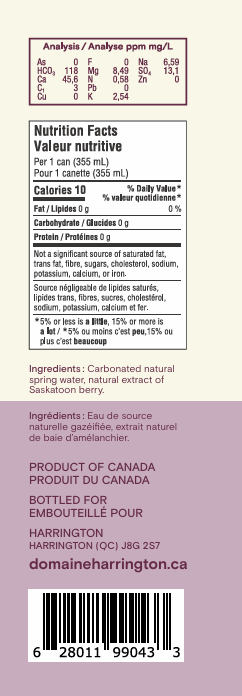 Saskatoon Berry Botanical Sparkling Water – 4 Cans