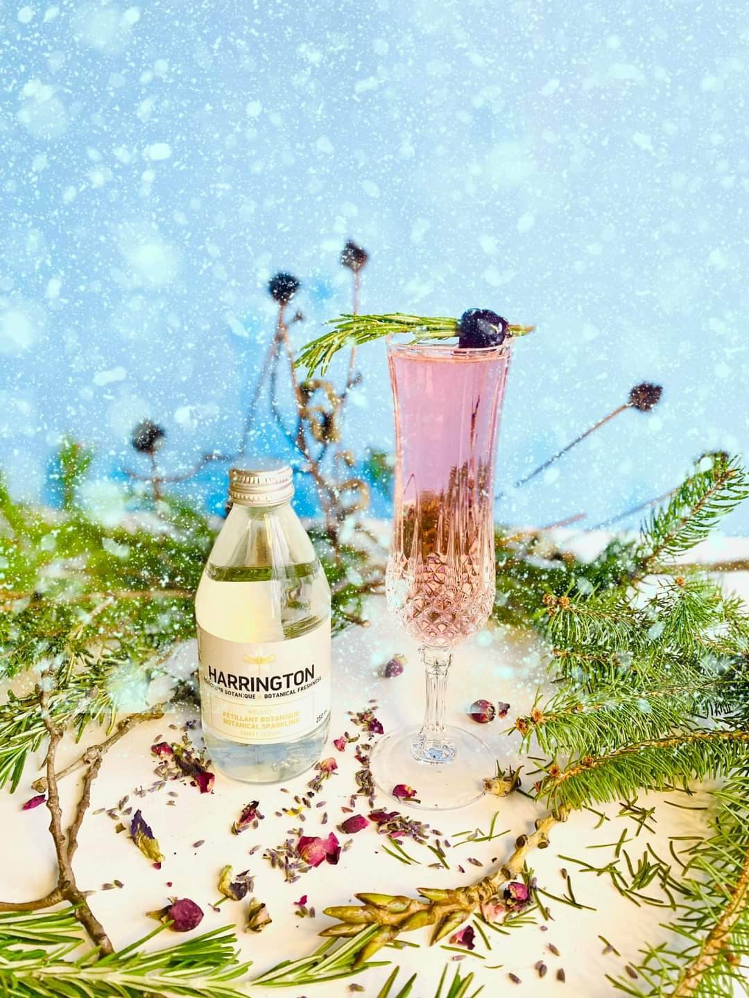 🌿 𝐏𝐫𝐞𝐦𝐢𝐞̀𝐫𝐞 𝐍𝐞𝐢𝐠𝐞 ☃️