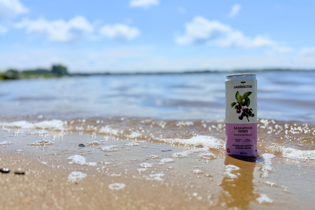 Eau pétillante botanique Harrington dégustée sur la plage d'Oka au Québec