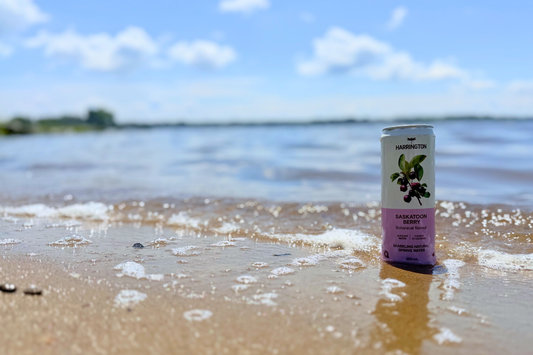 Eau pétillante botanique Harrington dégustée sur la plage d'Oka au Québec