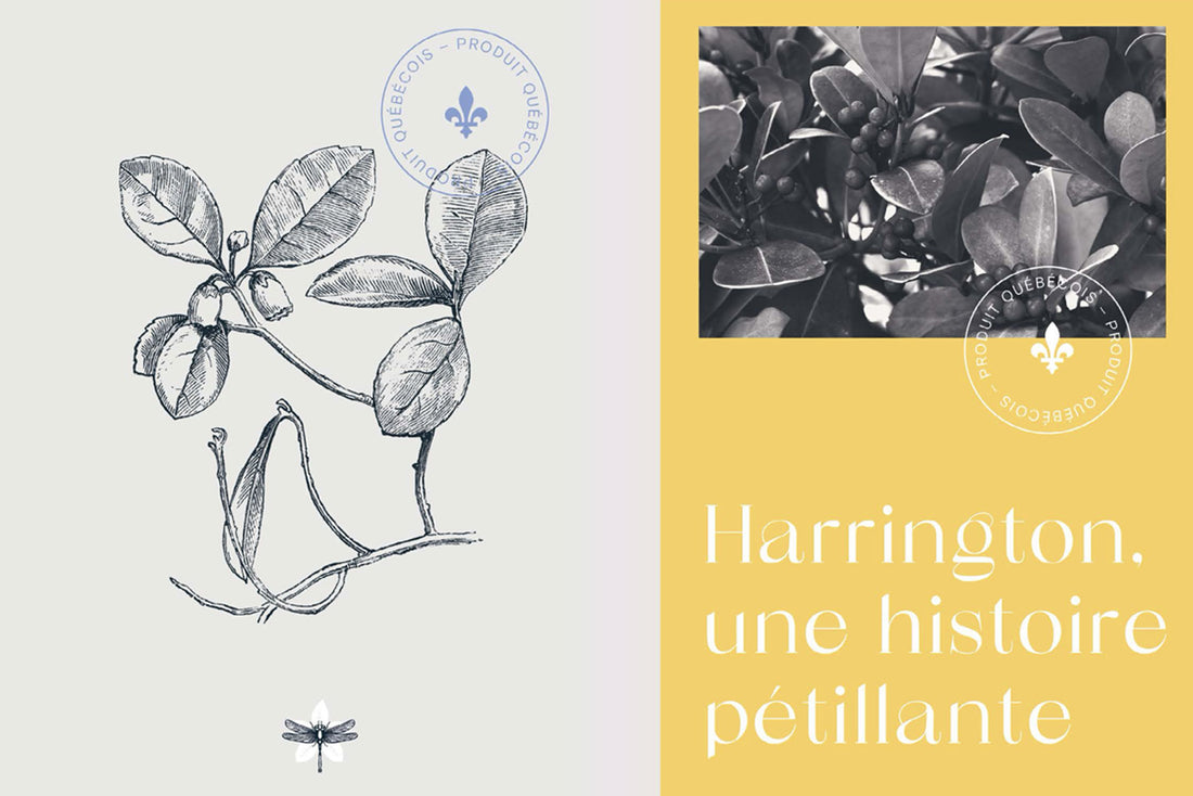 Image de marque et source d'inspiration