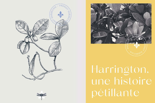 Image de marque et source d'inspiration