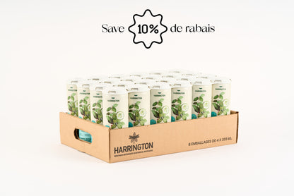 Eau pétillante botanique concombre & thé des bois - 4 canettes