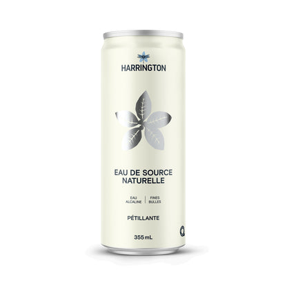 Eau de source naturelle pétillante - 24 canettes